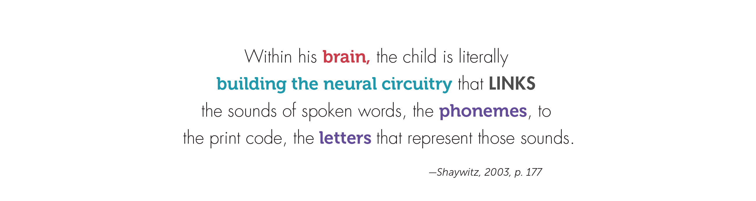 Within his brain, the child is literally building the neural circuitry that links the sounds of spoken words, the phonemes, to the print code, the letters that represent those sounds.