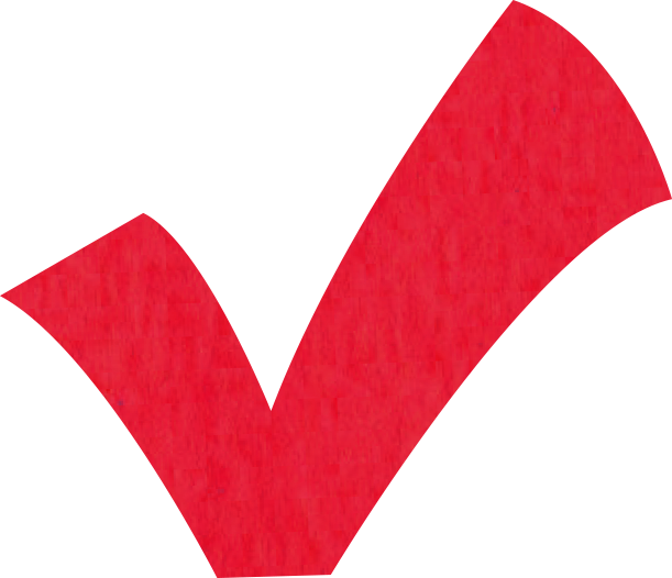 Red checkmark icon with a clean design.